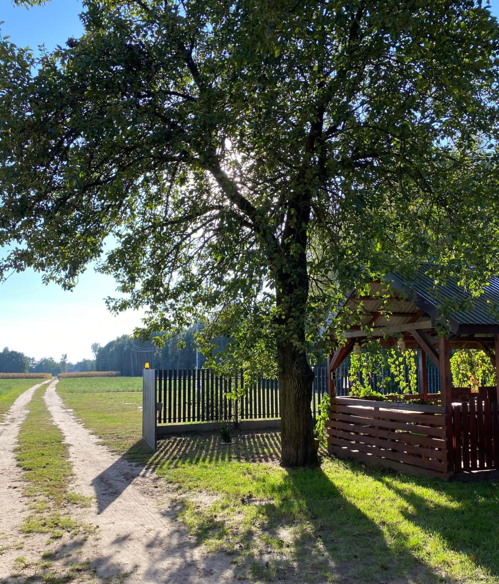 Maciejowka Gospodarstwo Agroturystyczne Poddebice Exterior photo