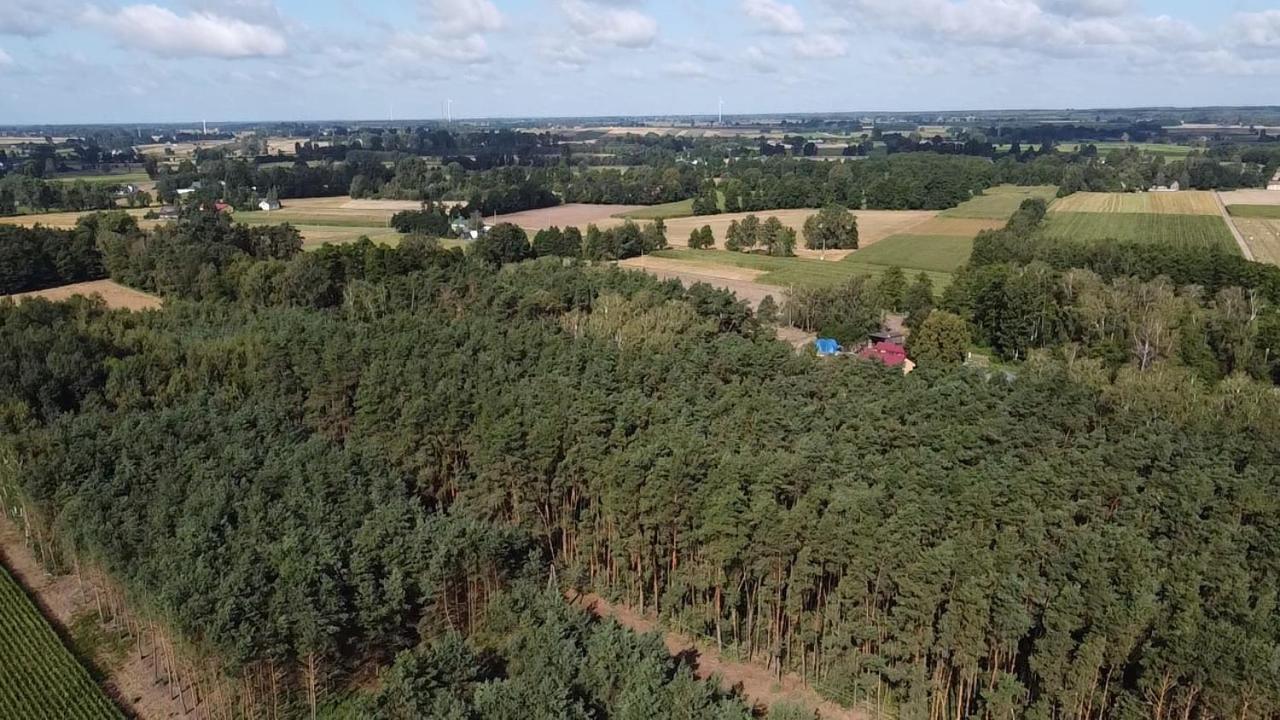 Maciejowka Gospodarstwo Agroturystyczne Poddebice Exterior photo