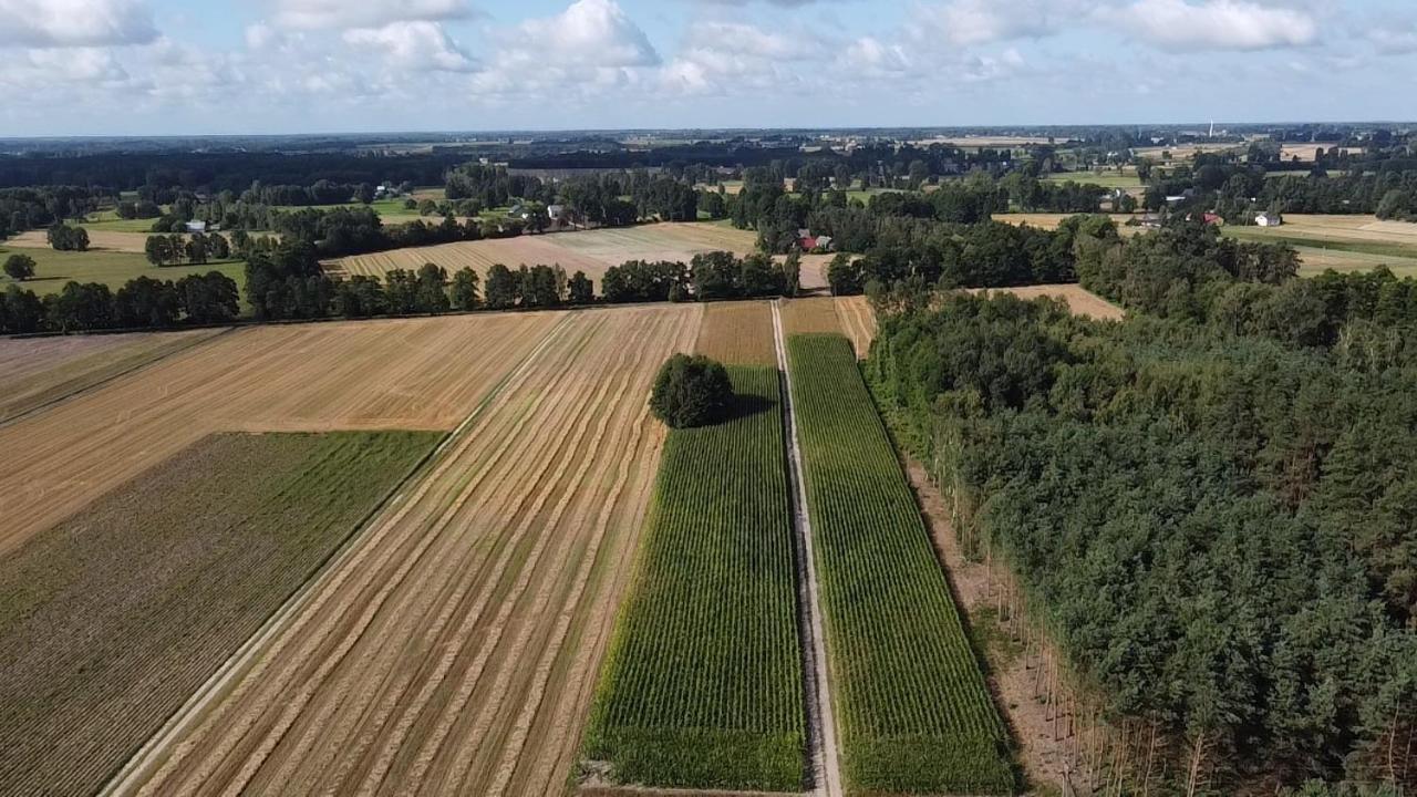 Maciejowka Gospodarstwo Agroturystyczne Poddebice Exterior photo
