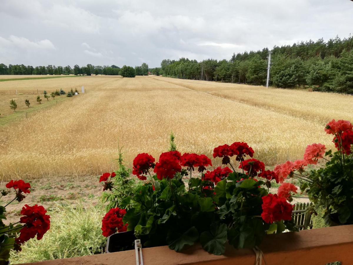 Maciejowka Gospodarstwo Agroturystyczne Poddebice Exterior photo